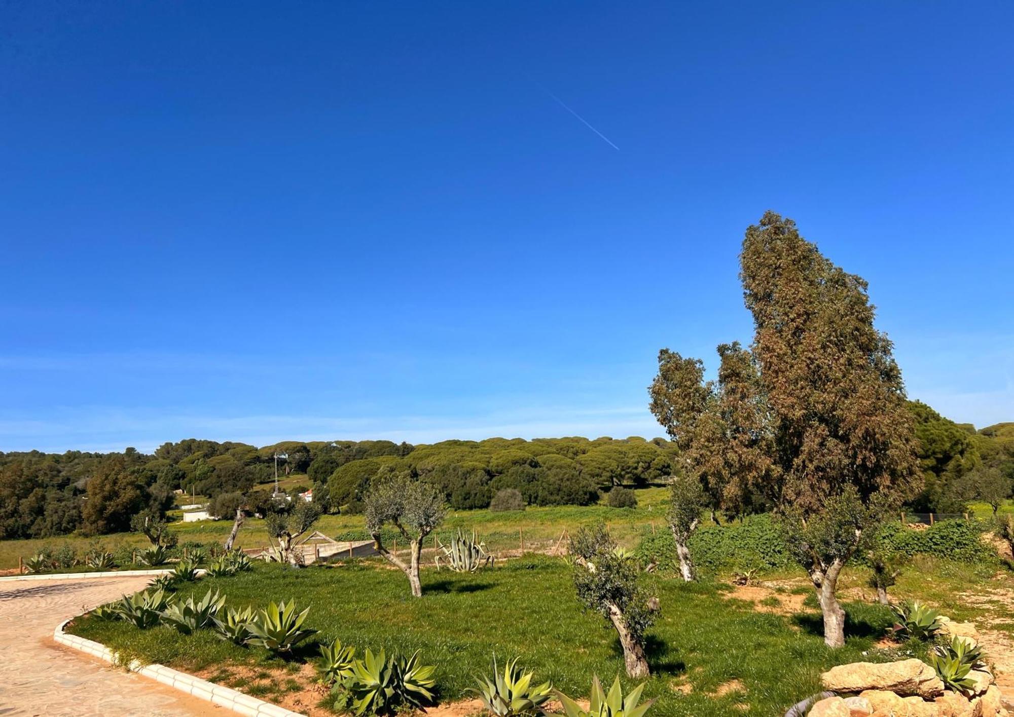 Hacienda La Yerbabuena Villa Cádiz Exterior photo
